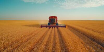 a combine harvester equipped with smart AI cameras working in a cornfield, blue sky and horizon in the background, right side intentionally blank for copy space photo
