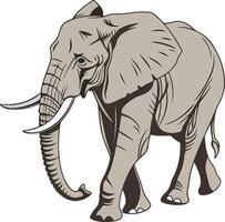 Realistic Illustration of Walking Elephant with Tusks vector