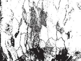 Abstract Black and White Tree Bark Silhouette Texture vector