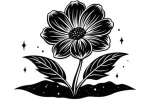 A Black and white flower line art illustration isolated on white background vector