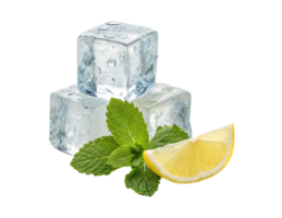Three ice cubes with mint leaves and lemon slice isolated on a transparent background drinks design png