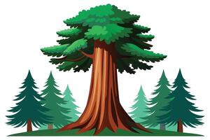 A Majestic sequoia tree surrounded by pine trees. vector