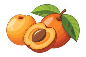 Colorful Illustration of Two Apricots, One Sliced, Perfect for Food Design vector