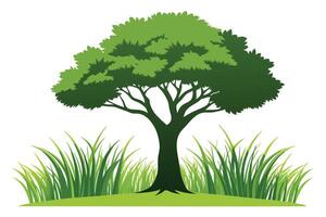 A Illustration of a large tree on a green hill isolated on white background vector