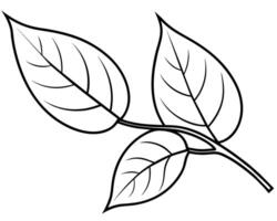Simple black and white illustration of a branch with leaves. vector