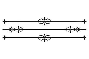 Elegant Black and White Divider Set for Design Elements vector