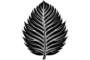 A Seamless black and white palm leaf pattern for design. vector