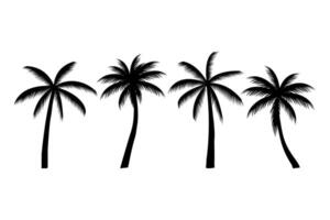 Set of Palm Tree Silhouette Isolated on White Background. vector