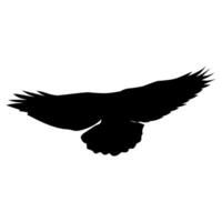 A stark black silhouette of a bird with outstretched wings in flight vector