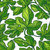 Green leaves seamless pattern. texture foliage. Botanical art hand drawn fresh illustration on white background. Graphic camouflage print. Figs tree, forest vector