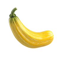 Fresh Yellow Squash Vegetable Isolated Transparent Background png