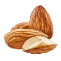 Close up of Shelled Almonds Showing Texture and Detail of Whole and Halved Nuts png