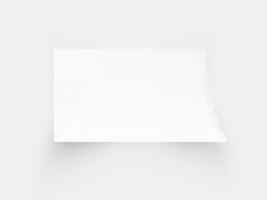 Torn paper edges. Ripped paper texture. Paper tag. White paper background with clipping path photo