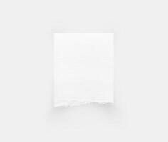 Torn paper edges. Ripped paper texture. Paper tag. Paper background photo