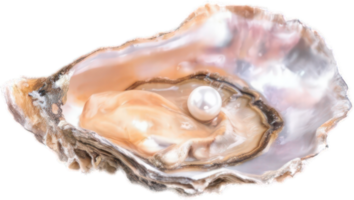 Luminous Pearl Inside Open Oyster Shell Close Up Macro Shot of Natural Gem png