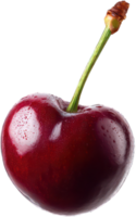Single Red Cherry with Stem Water Droplets Close up Macro Photography png