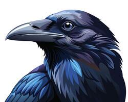 a vivid watercolor of a common raven with its glossy black feathers vector