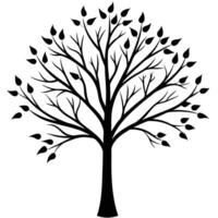 a delicate slender tree with thin branches and sp vector