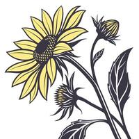 Deep Yellow Sunflower with Bold Sharp Petals vector