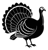 a turkey with its feathers spread in full display vector