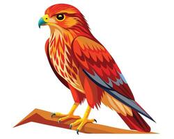 a delicate watercolor of a red shouldered hawk with sharp eyes vector