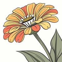 Bright Vibrant Zinnia with Crisp Symmetrical Petals vector