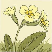 Glowing Yellow Primrose with Crisp Petals and Center vector