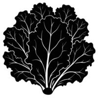a cluster of kale leaves with ruffled edges vector