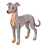 sleek and fast greyhound showing its smooth fur and lean body vector