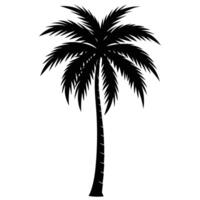 a single tall coconut tree with a slender trunk an vector