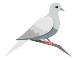 a graceful watercolor of a mourning dove with soft gray feathers vector