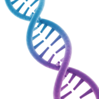 DNA molecule strand helix rotating on transparent background, science and technology png