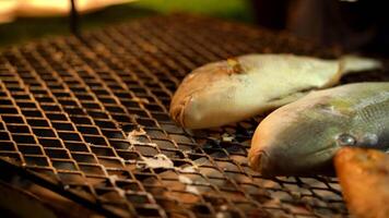 Fresh fish is grilled by turning and frying it on all sides before serving video