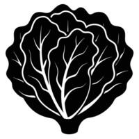 a head of lettuce with curled smooth leaves vector