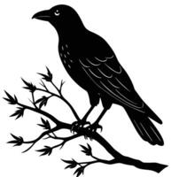 a crow sitting on a tree branch vector