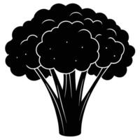 a full bunch of broccoli with its thick stalk and florets vector