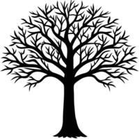 a tall strong tree with a thin trunk and elegant vector