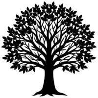 a broad leaved tree with thick branches and dense vector
