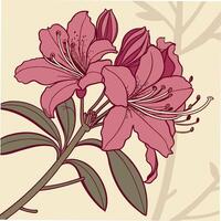 Vibrant Fuchsia Azalea with Layered Sharp Petals vector
