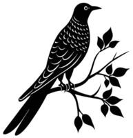 a cuckoo bird perched on a tree branch vector