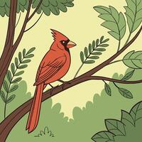 Bright red cardinal perched on a branch image vector
