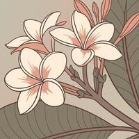 Delicate Peach Begonia with Overlapping Petals vector
