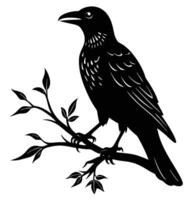 a rook perched on a tree branch staring ahead vector