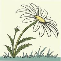 Clean White Daisy with Soft Yellow Center vector