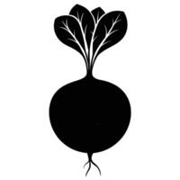 a round beetroot with a leafy top and long roots vector