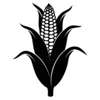 a stalk of sweet corn with a fully developed cob vector