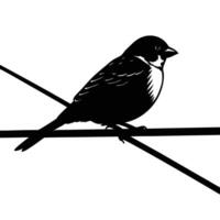 a small sparrow perched on a wire vector