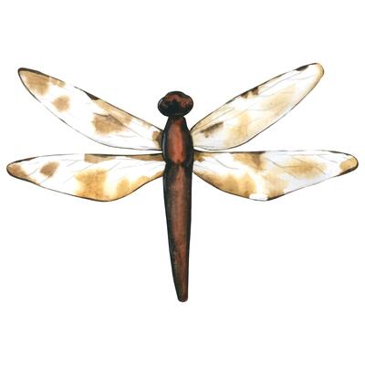 Dragonfly. Hand drawn flying insects. Watercolor illustrations in calm beige tones for background, texture, wrapper pattern