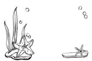 starfish illustrations. Seabed landscape design template drawing in line art style. Sketch of sea creatures. algae, corals, seashells, sea mollusks, scallop painted by black inks. Marine art vector