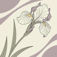 Pale Lavender Iris with Smooth Flowing Petals vector